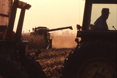 Combine in field photograph