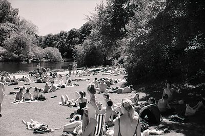 B/W park photo