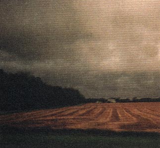 Storm in a field photo