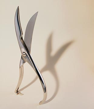 Scissors photo